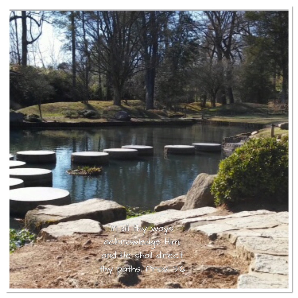 🌱Meet your Posher, Kim - Owner of HBBK - Picture 4 of 4